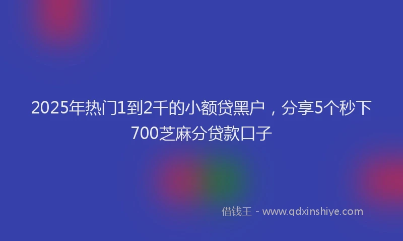 2025年热门1到2千的小额贷黑户，分享5个秒下700芝麻分贷款口子