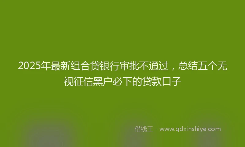 2025年最新组合贷银行审批不通过，总结五个无视征信黑户必下的贷款口子