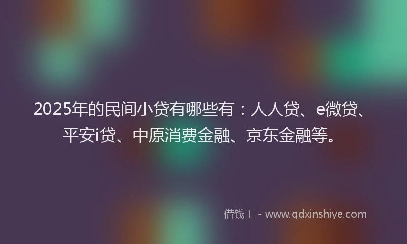 2025年的民间小贷有哪些有：人人贷、e微贷、平安i贷、中原消费金融、京东金融等。