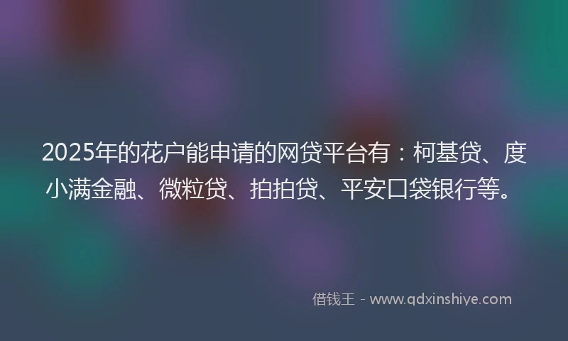 2025年的花户能申请的网贷平台有：柯基贷、度小满金融、微粒贷、拍拍贷、平安口袋银行等。