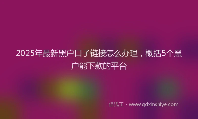 2025年最新黑户口子链接怎么办理，概括5个黑户能下款的平台