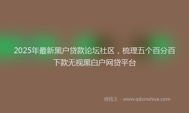 2025年最新黑户贷款论坛社区，梳理五个百分百下款无视黑白户网贷平台