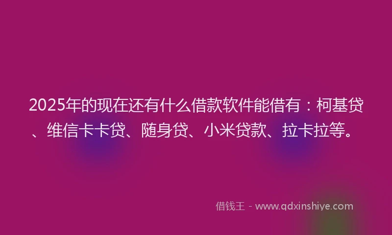 2025年的现在还有什么借款软件能借有：柯基贷、维信卡卡贷、随身贷、小米贷款、拉卡拉等。