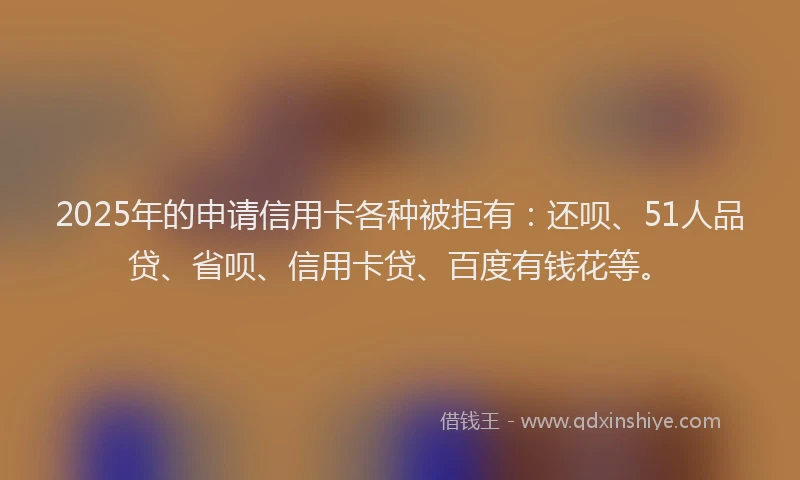 2025年的申请信用卡各种被拒有：还呗、51人品贷、省呗、信用卡贷、百度有钱花等。