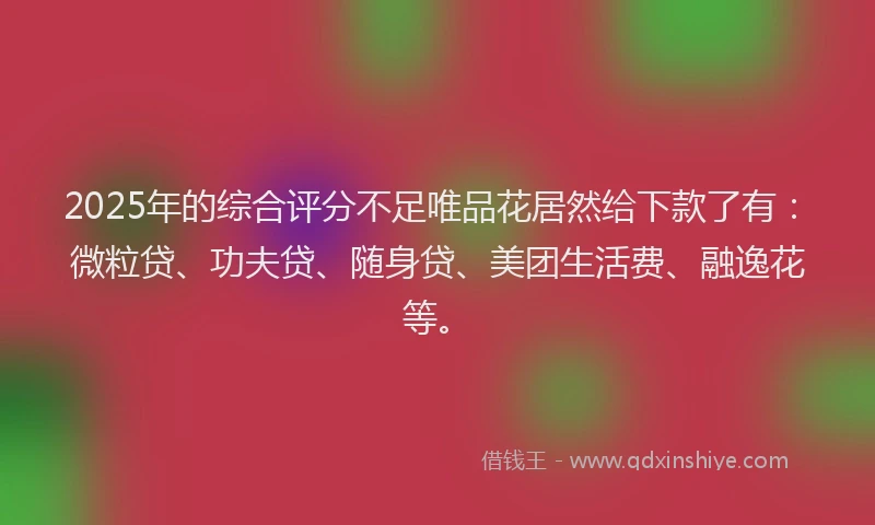2025年的综合评分不足唯品花居然给下款了有：微粒贷、功夫贷、随身贷、美团生活费、融逸花等。