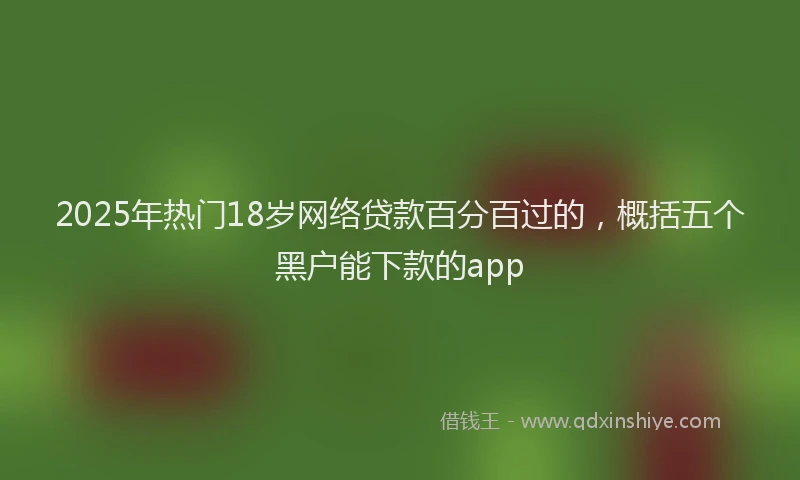 2025年热门18岁网络贷款百分百过的，概括五个黑户能下款的app
