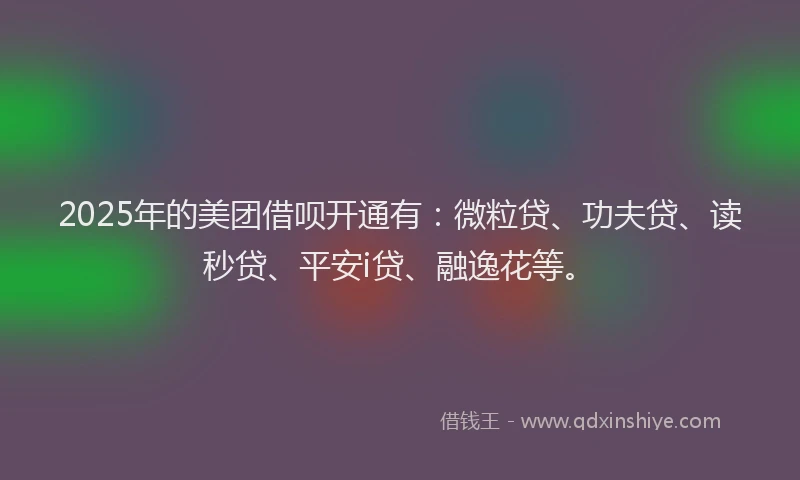 2025年的美团借呗开通有：微粒贷、功夫贷、读秒贷、平安i贷、融逸花等。