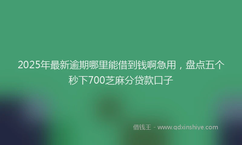2025年最新逾期哪里能借到钱啊急用，盘点五个秒下700芝麻分贷款口子