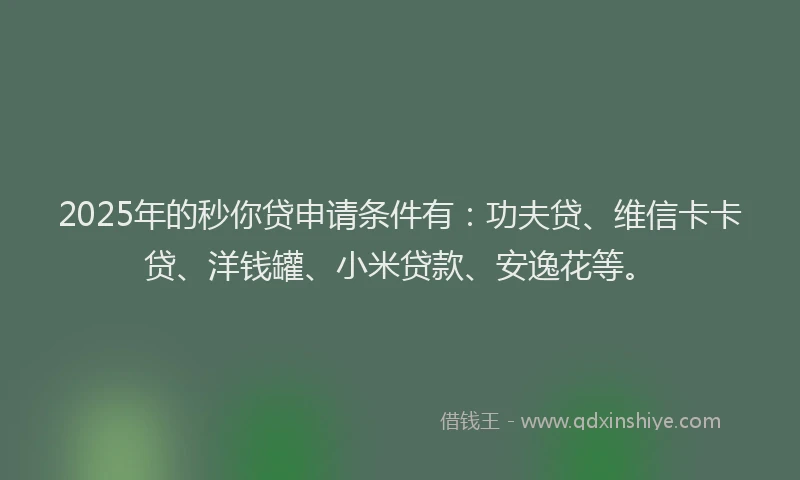 2025年的秒你贷申请条件有：功夫贷、维信卡卡贷、洋钱罐、小米贷款、安逸花等。