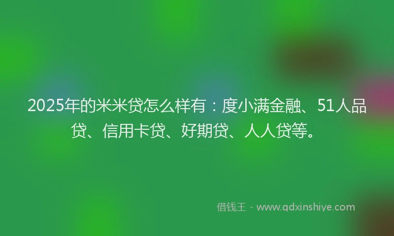 2025年的米米贷怎么样有：度小满金融、51人品贷、信用卡贷、好期贷、人人贷等。
