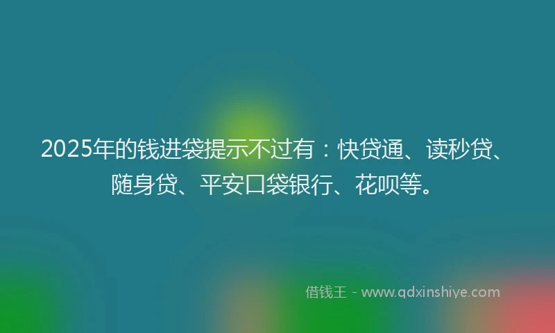 2025年的钱进袋提示不过有：快贷通、读秒贷、随身贷、平安口袋银行、花呗等。