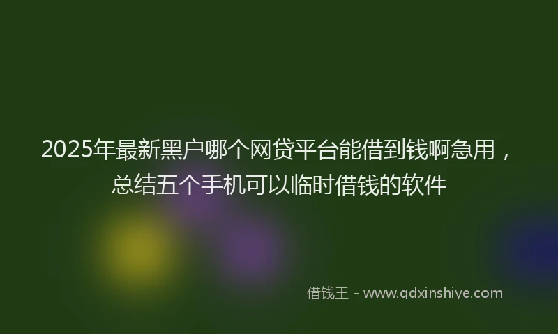 2025年最新黑户哪个网贷平台能借到钱啊急用，总结五个手机可以临时借钱的软件