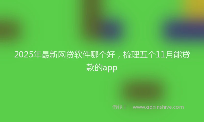 2025年最新网贷软件哪个好，梳理五个11月能贷款的app
