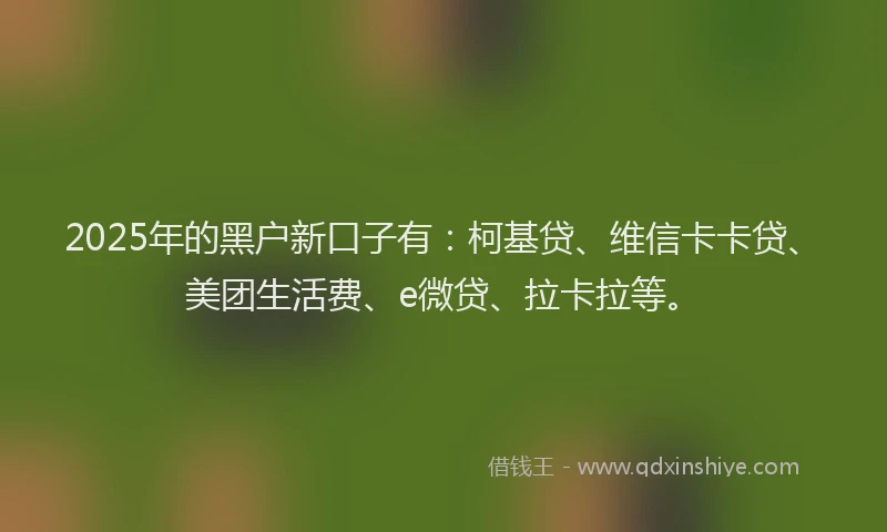 2025年的黑户新口子有：柯基贷、维信卡卡贷、美团生活费、e微贷、拉卡拉等。