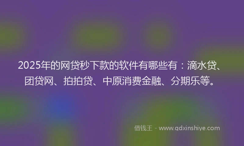 2025年的网贷秒下款的软件有哪些有：滴水贷、团贷网、拍拍贷、中原消费金融、分期乐等。