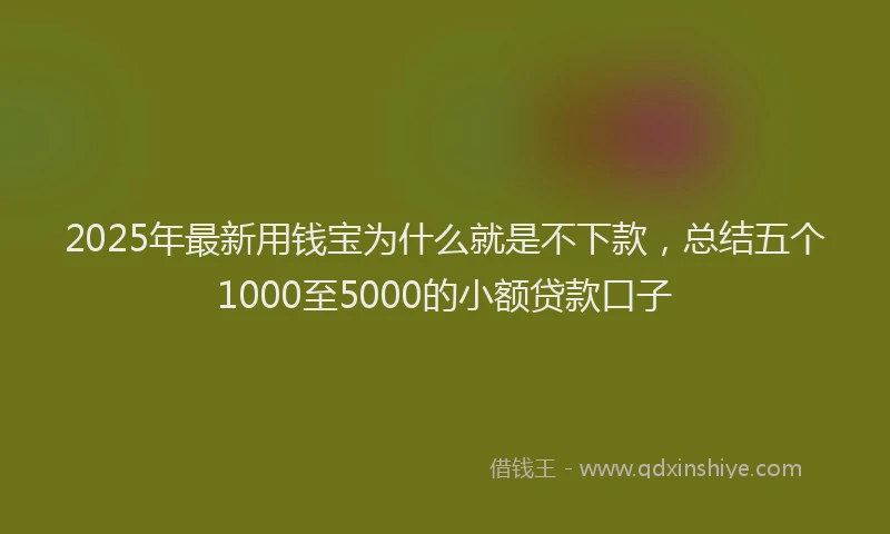 2025年最新用钱宝为什么就是不下款，总结五个1000至5000的小额贷款口子