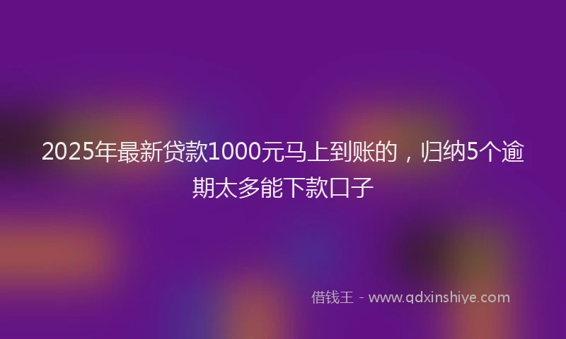 2025年最新贷款1000元马上到账的，归纳5个逾期太多能下款口子