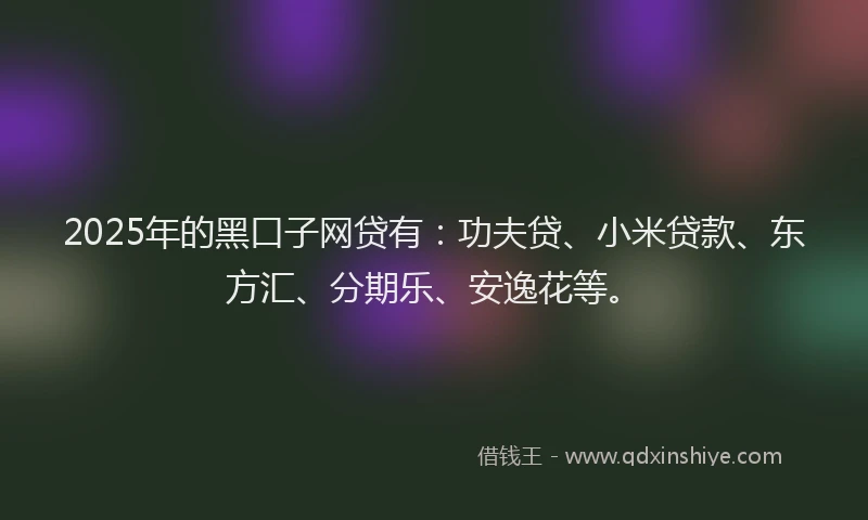 2025年的黑口子网贷有：功夫贷、小米贷款、东方汇、分期乐、安逸花等。
