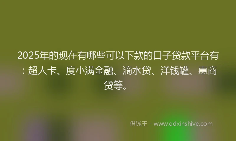 2025年的现在有哪些可以下款的口子贷款平台有：超人卡、度小满金融、滴水贷、洋钱罐、惠商贷等。