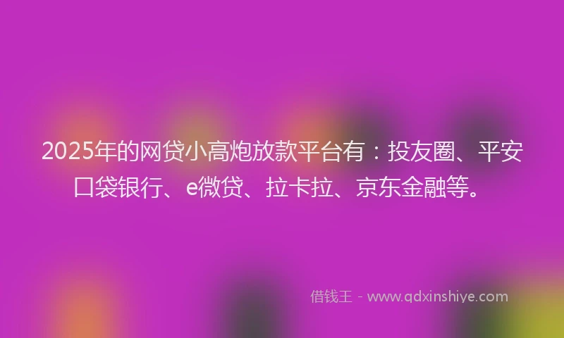 2025年的网贷小高炮放款平台有：投友圈、平安口袋银行、e微贷、拉卡拉、京东金融等。
