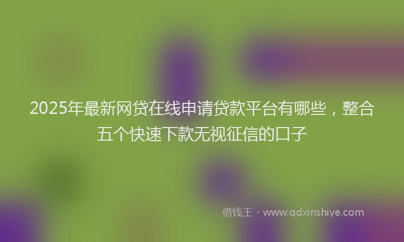 2025年最新网贷在线申请贷款平台有哪些，整合五个快速下款无视征信的口子
