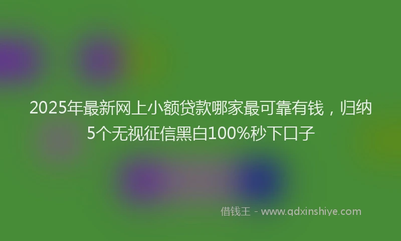 2025年最新网上小额贷款哪家最可靠有钱，归纳5个无视征信黑白100%秒下口子