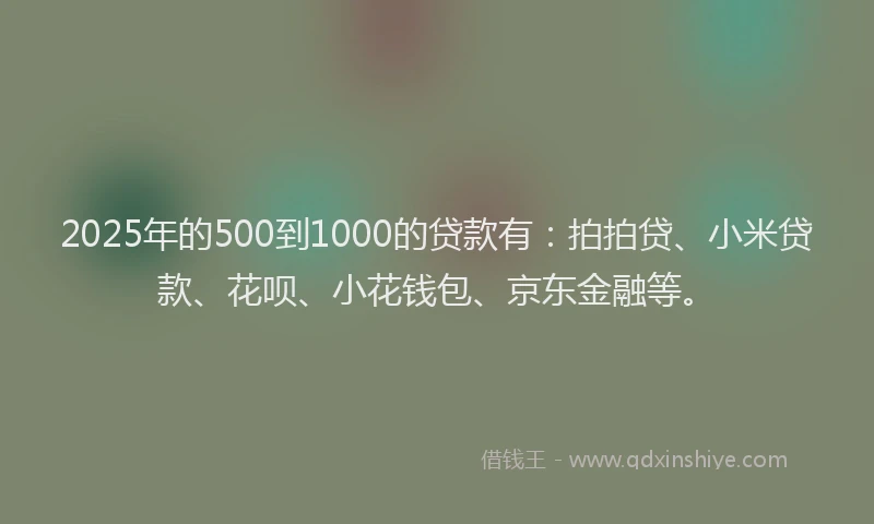 2025年的500到1000的贷款有：拍拍贷、小米贷款、花呗、小花钱包、京东金融等。
