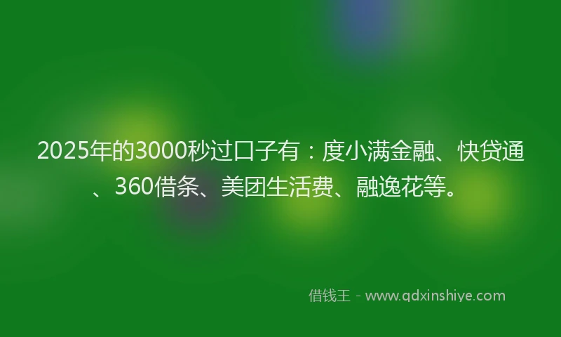 2025年的3000秒过口子有：度小满金融、快贷通、360借条、美团生活费、融逸花等。