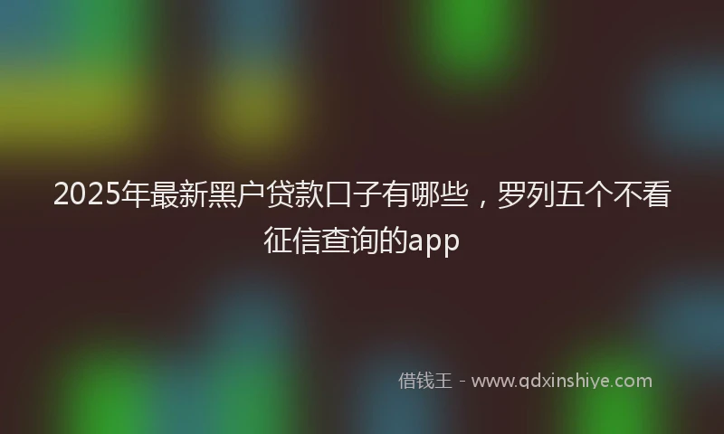 2025年最新黑户贷款口子有哪些，罗列五个不看征信查询的app