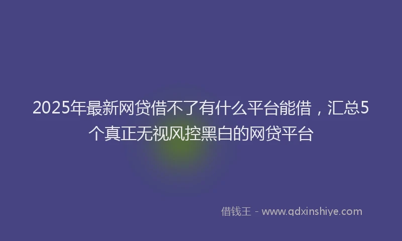 2025年最新网贷借不了有什么平台能借，汇总5个真正无视风控黑白的网贷平台