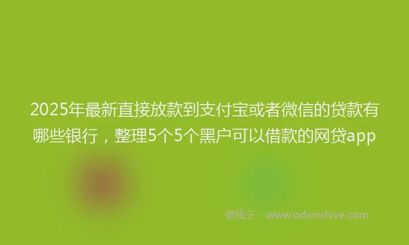2025年最新直接放款到支付宝或者微信的贷款有哪些银行，整理5个5个黑户可以借款的网贷app