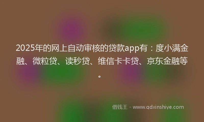 2025年的网上自动审核的贷款app有：度小满金融、微粒贷、读秒贷、维信卡卡贷、京东金融等。