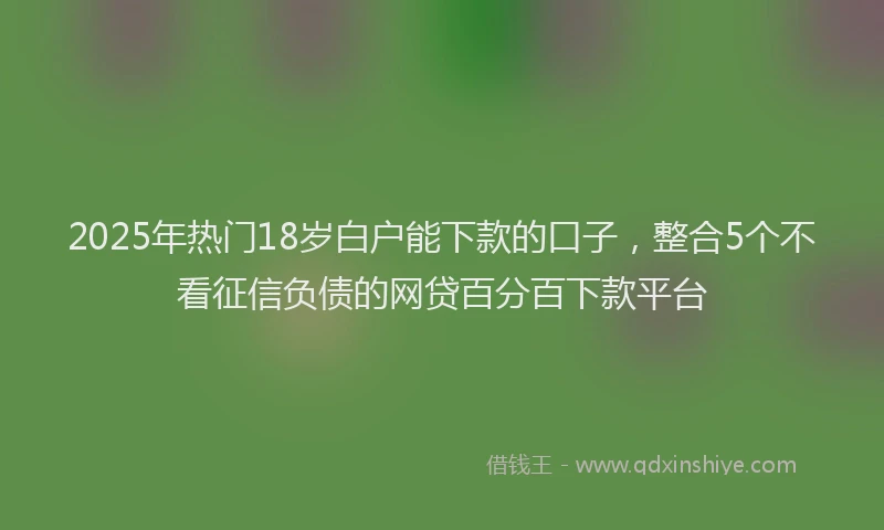 2025年热门18岁白户能下款的口子，整合5个不看征信负债的网贷百分百下款平台