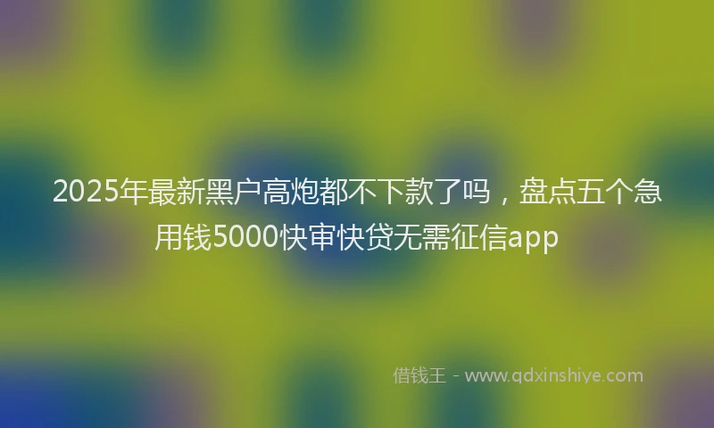 2025年最新黑户高炮都不下款了吗，盘点五个急用钱5000快审快贷无需征信app
