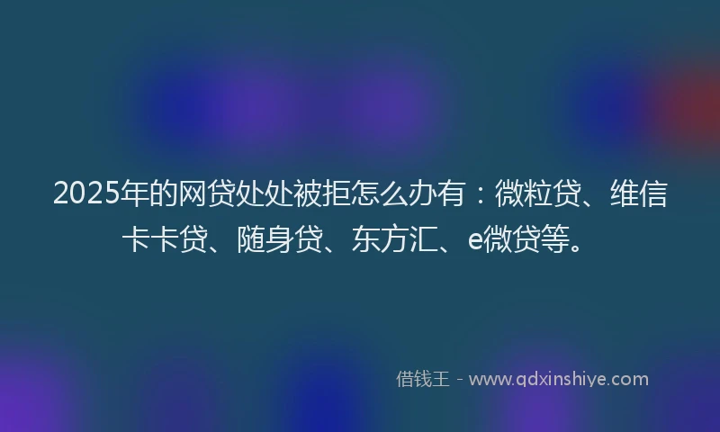 2025年的网贷处处被拒怎么办有：微粒贷、维信卡卡贷、随身贷、东方汇、e微贷等。