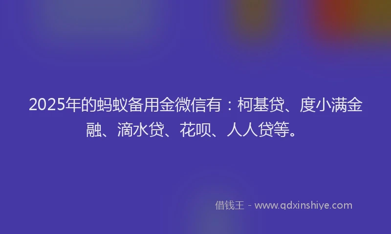 2025年的蚂蚁备用金微信有：柯基贷、度小满金融、滴水贷、花呗、人人贷等。