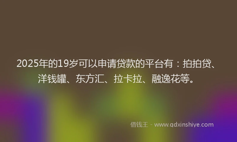 2025年的19岁可以申请贷款的平台有：拍拍贷、洋钱罐、东方汇、拉卡拉、融逸花等。