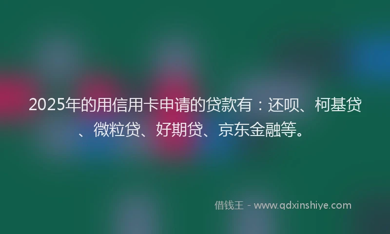 2025年的用信用卡申请的贷款有：还呗、柯基贷、微粒贷、好期贷、京东金融等。