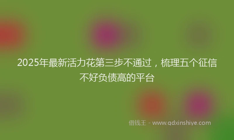 2025年最新活力花第三步不通过，梳理五个征信不好负债高的平台