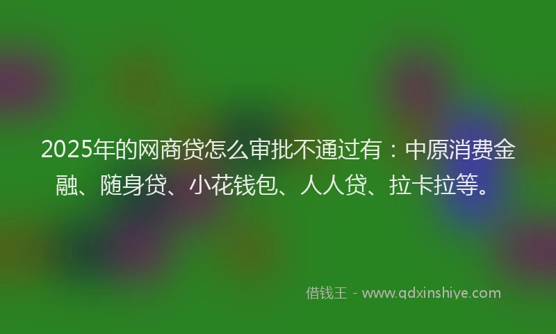 2025年的网商贷怎么审批不通过有：中原消费金融、随身贷、小花钱包、人人贷、拉卡拉等。