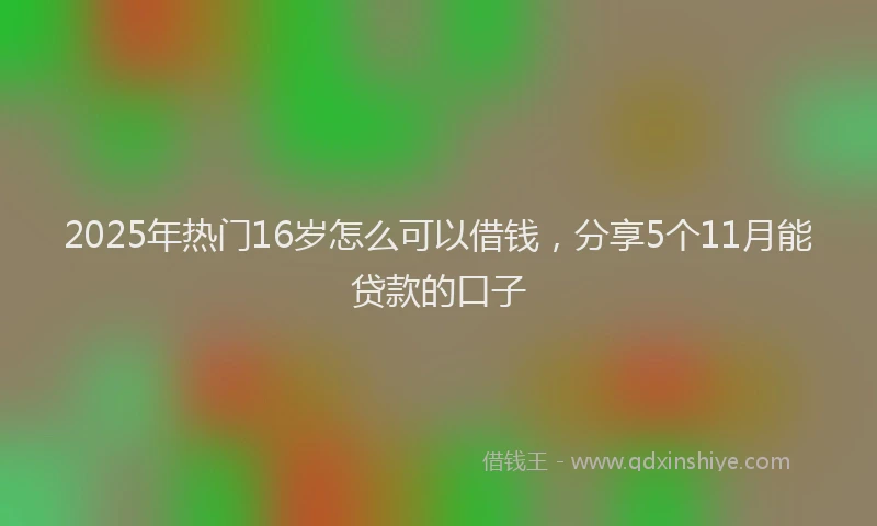2025年热门16岁怎么可以借钱，分享5个11月能贷款的口子