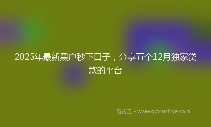 2025年最新黑户秒下口子，分享五个12月独家贷款的平台