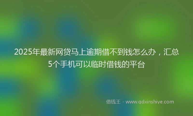 2025年最新网贷马上逾期借不到钱怎么办，汇总5个手机可以临时借钱的平台