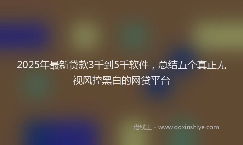 2025年最新贷款3千到5千软件，总结五个真正无视风控黑白的网贷平台