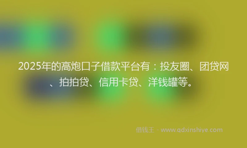 2025年的高炮口子借款平台有：投友圈、团贷网、拍拍贷、信用卡贷、洋钱罐等。