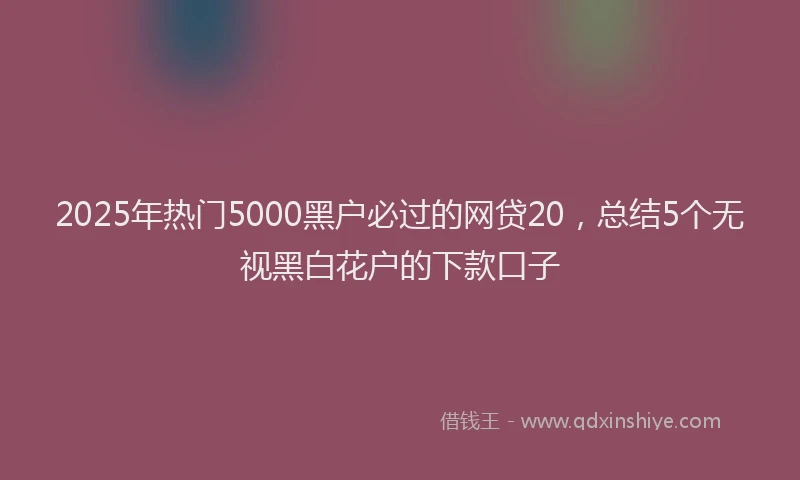 2025年热门5000黑户必过的网贷20，总结5个无视黑白花户的下款口子