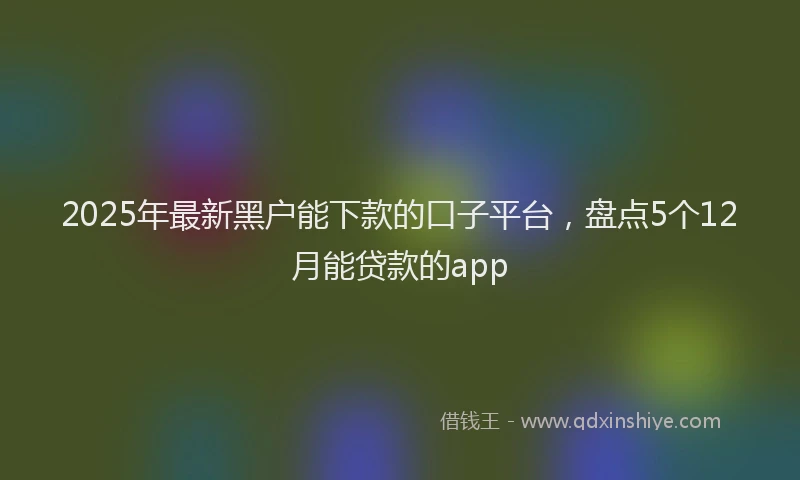 2025年最新黑户能下款的口子平台，盘点5个12月能贷款的app