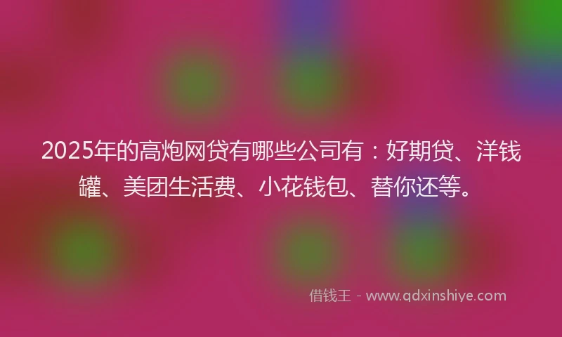 2025年的高炮网贷有哪些公司有：好期贷、洋钱罐、美团生活费、小花钱包、替你还等。