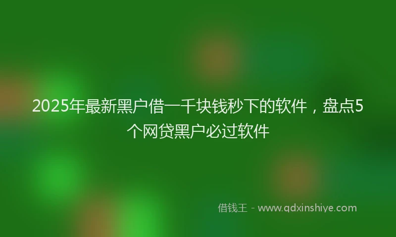 2025年最新黑户借一千块钱秒下的软件，盘点5个网贷黑户必过软件