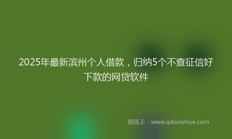 2025年最新滨州个人借款，归纳5个不查征信好下款的网贷软件